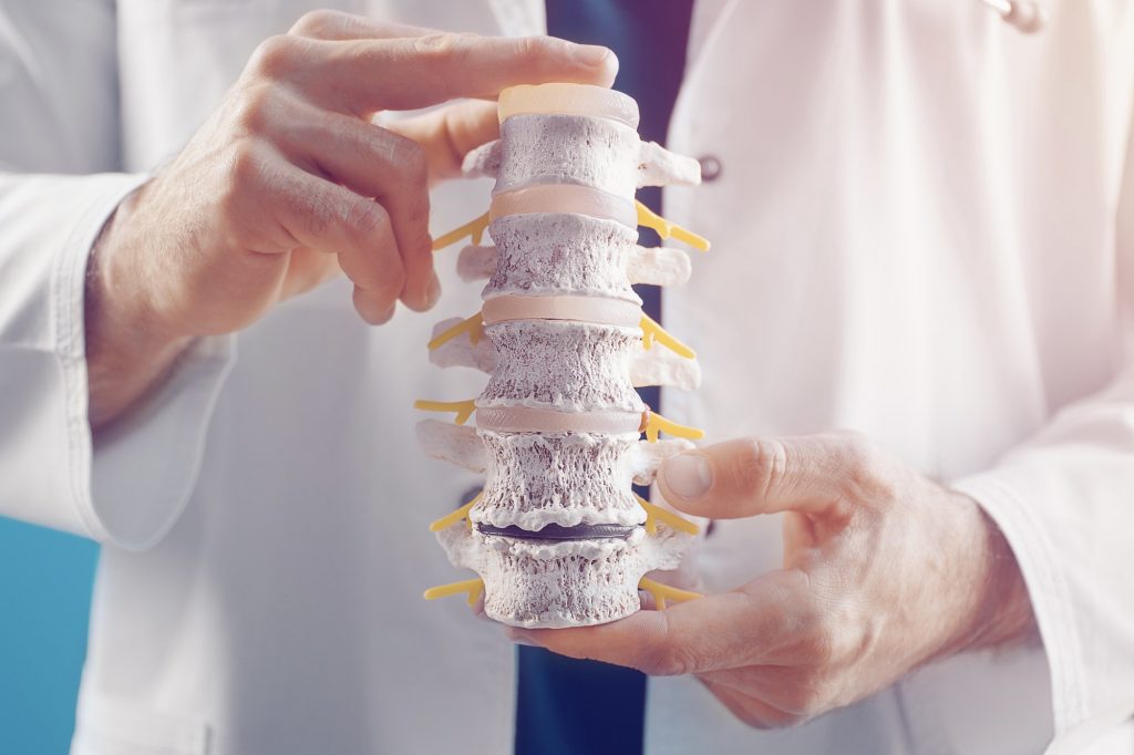 doctor demonstrates the departments of the spine vertebrae, hernia and its injuries